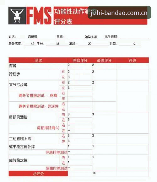 半岛体育平台(BDTY)深度评测：从下载地址到竞技登录的全链路解析